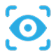 Vision Icon